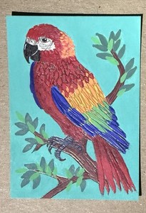 Aceo Original Colorful Macaw Parrot Tropical Bird On Branch Painting By Kcrea