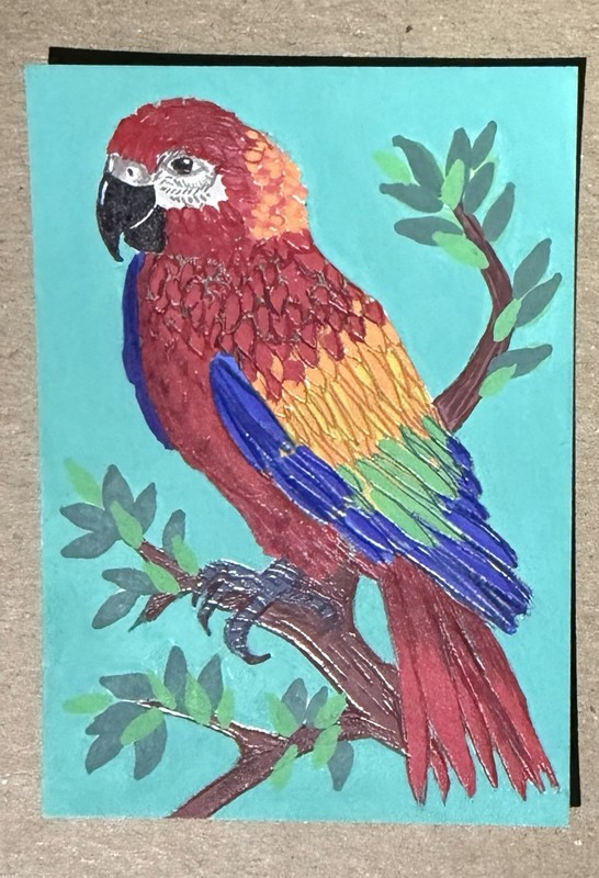 Aceo Original Colorful Macaw Parrot Tropical Bird On Branch Painting By Kcrea