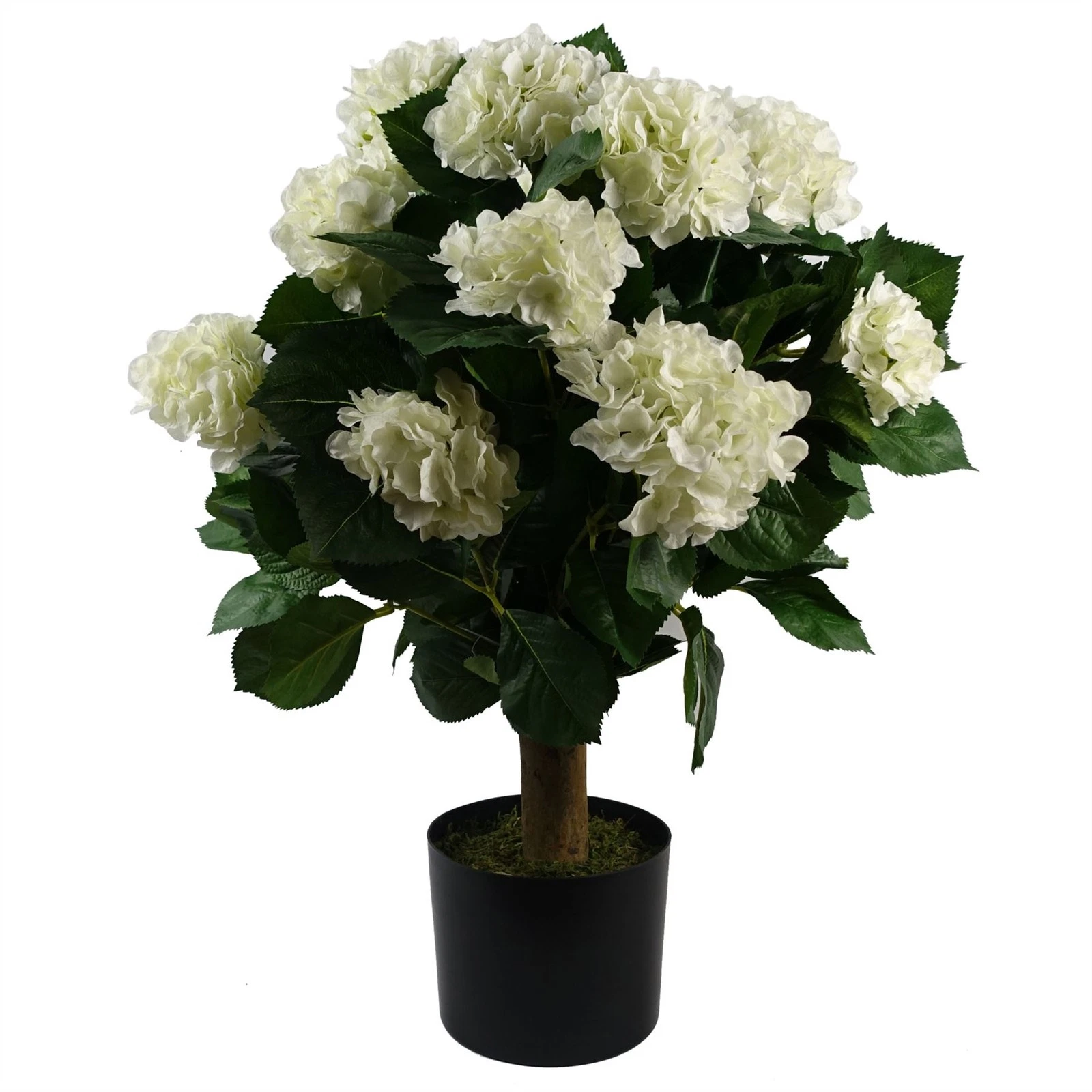 70cm White Bush Hydrangea  - 40790