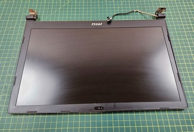 MSI GP73 Leopard 8RE 1920x1080 17.3 LCD Screen Display Complete Assembly #d447