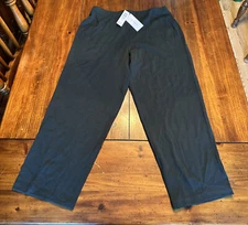 Eileen Fisher Rainfo Striaght Leg Pant Size 1X Green Viscose Wool $178