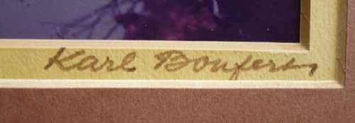 KARL BONFERT, COLLECTIBLE VINTAGE YOSEMITE CALIF CA CALIFORNIA PHOTOGRAPH SIGNED - Picture 9 of 11