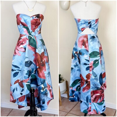 PARKER BLACK Women's Size 2 Watercolor Rose Clara Pleated Bodice High Low Dress