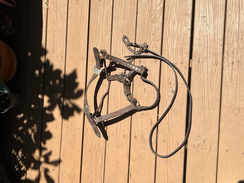 Leather Horse Halter And Chest Harness