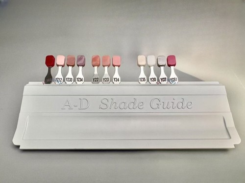 Dental Composite Gingiva Gum Shade Pink Tissue Restoration Color Guide FIT GC - 第 1/2 張圖片