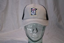 Minnesota Twins Baseball cap hat MLB Dairy Queen strap back Gray Black 2017