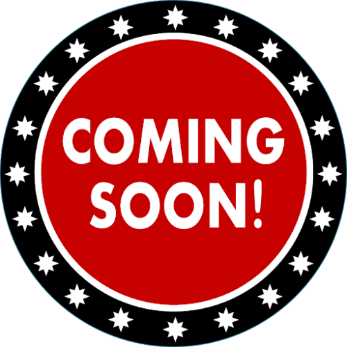 New in the box 500 watt variable Mobile RF Ham Amplifier