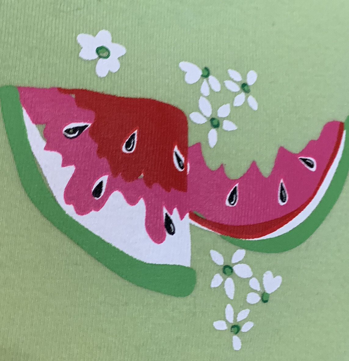 French Dressing Intimates Watermelon Themed Tank Top … Gem