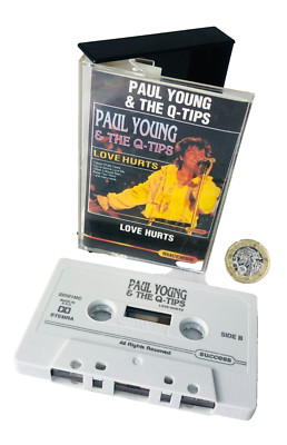 Music Cassette Paul Young and the Q Tips Love Hurts Vintage ra