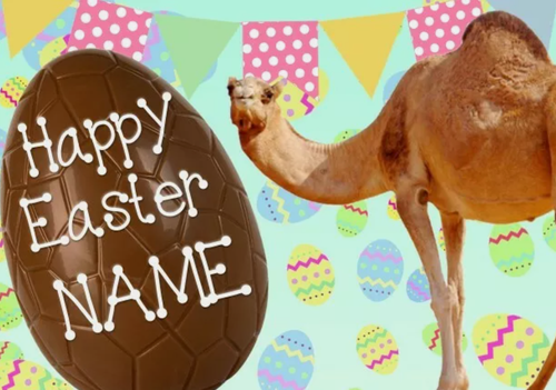 Camel Happy Easter Personalised Greeting Card A5 Chocolate Egg EE137 - 第 1/1 張圖片
