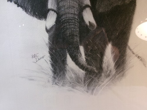 Vintage Peter Darro Signed Elephant Drawing - Picture 3 of 5