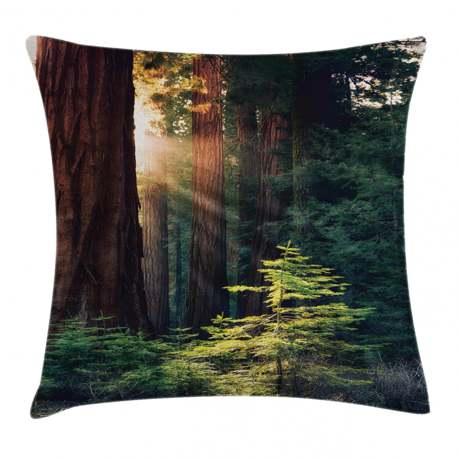 Nature-Inspired Nevada Morning Sun Square Pillow Cover 18 Inches