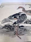 KONO BAIREI WOODBLOCK from One Hundred Birds/Original — photo 4