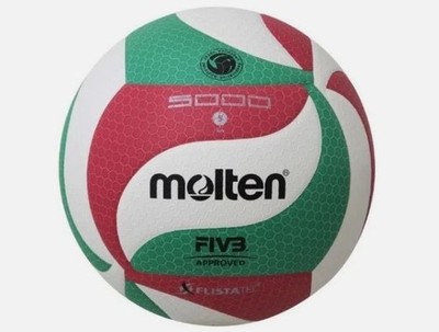 NEW Molten V5M5000 Volleyball Size 5 Soft Touch Training Game Ball