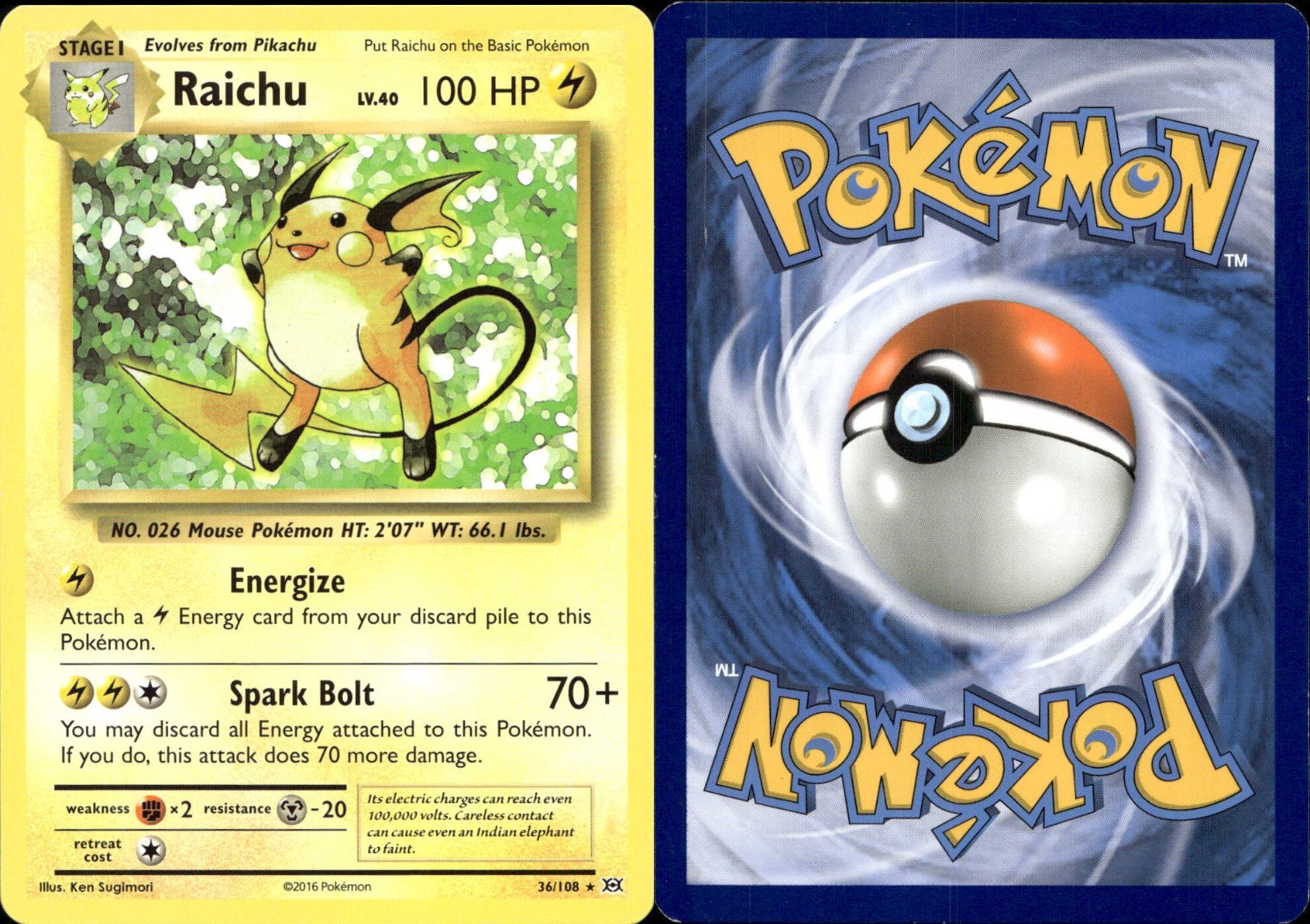 Pokemon Card Raichu 36/108 XY Evolutions Theme Deck Non Holo Rare LP