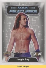 2022 Upper Deck AEW All Elite Wrestling Silver Jungle Boy Jack Perry READ 07q0