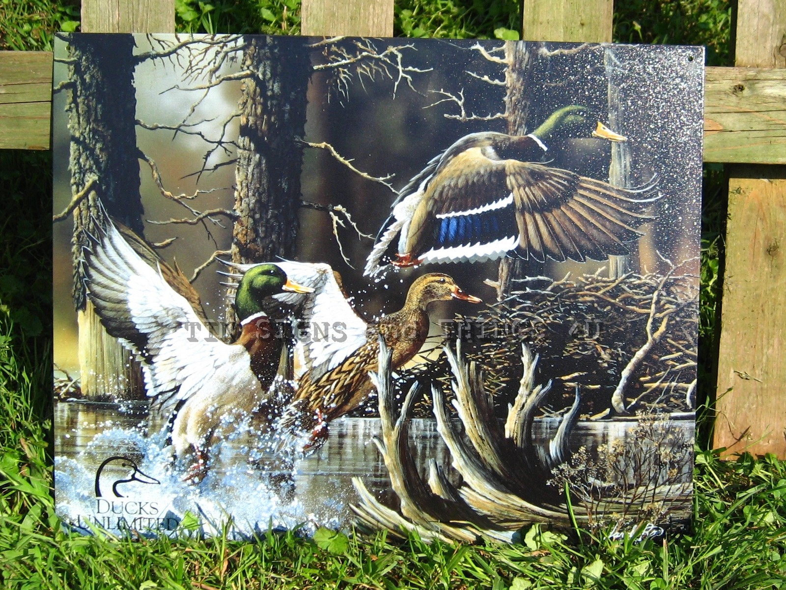 Bild 2 von 7