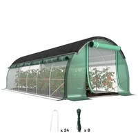 GewäChshaus 6 X 3 X 2 M FoliengewäChshaus Mit 12 Fenster, RolltüRen Winterfest