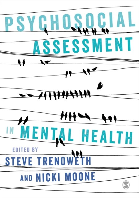 Psychosocial Assessment in Mental Health by B01 (Paperback Book)