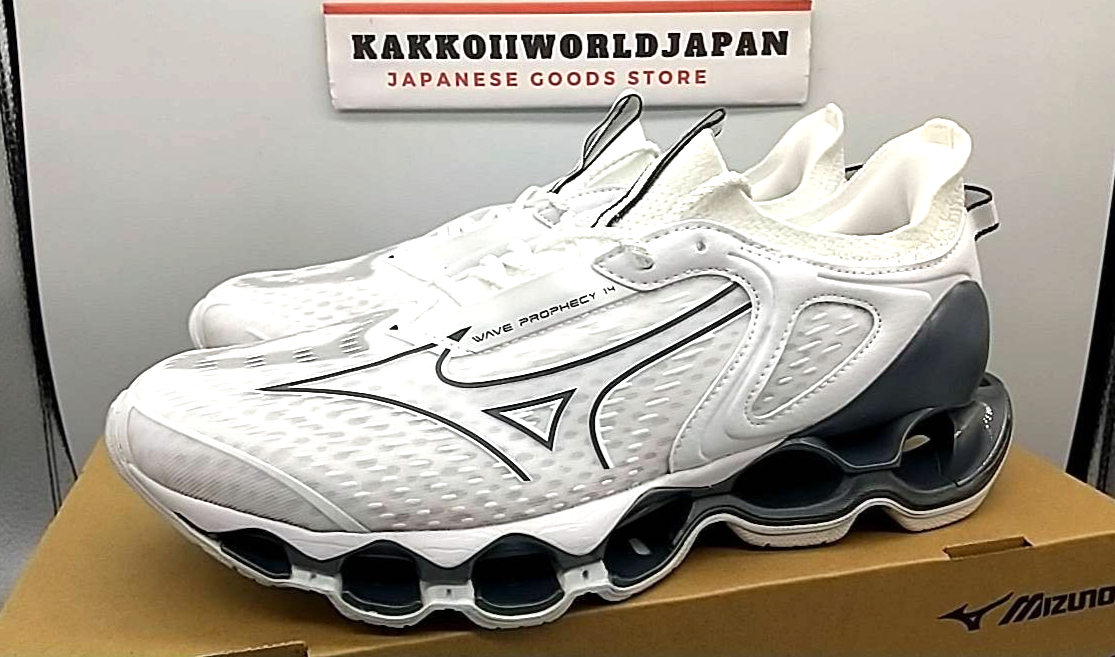 Mizuno Running Shoes WAVE PROPHECY 14 White/Silver J1GC255132