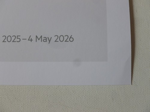 BRIDGET RILEY Learning to see   2025 ART EXHIBITION POSTER - Picture 3 of 7