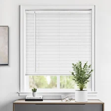 Cordless 1" Vinyl Mini Blinds for Indoor Windows - Light Filtering Horizontal Wi