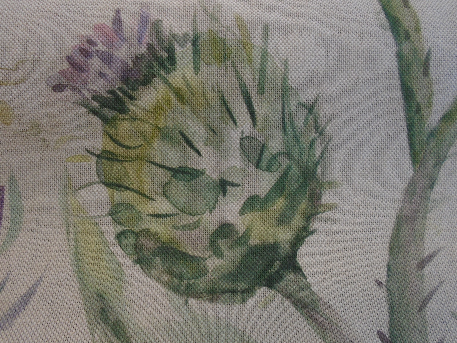 Picture 8 of 12