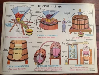 affiche scolaire "LE CIDRE LE VIN- LE MOTEUR ÉLECTRIQUE" raisin vendanges  an 60 - Photo 1/4
