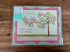 C. R. Gibson Our Little One First Year Baby Calendar  Stickers  BA3-9022U 