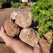 Raw Unopened Thunder Eggs or Geode Surprise !