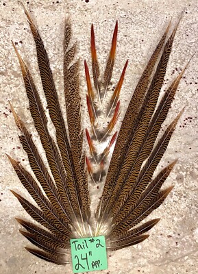 Red Golden Pheasant Tail Feathers Decorating Fashion Crafts Taxidermy Fly Tying