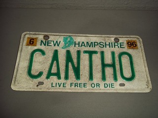 1996 NEW HAMPSHIRE VANITY LICENSE PLATE CANTHO CANT HO CAN THO