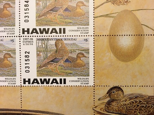HI2ssp Hawaii, Hawaiian Duck Souvenir Sheet/4 Perforate, Daniel Van Zyle 1997 - Picture 4 of 5