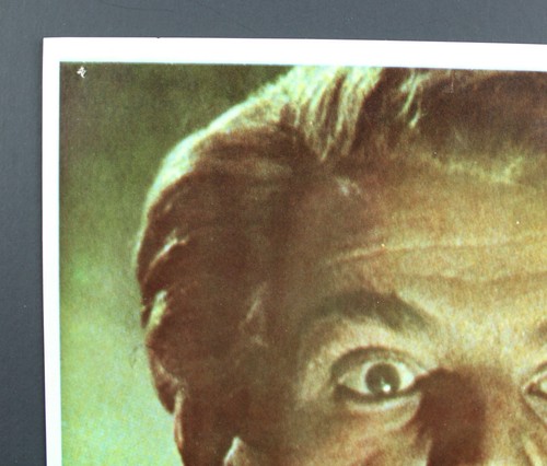 1979 THE HORROR SHOW Movie Lobby Card Karloff, Lugosi Vintage Original Spain #2 - Bild 3 von 6