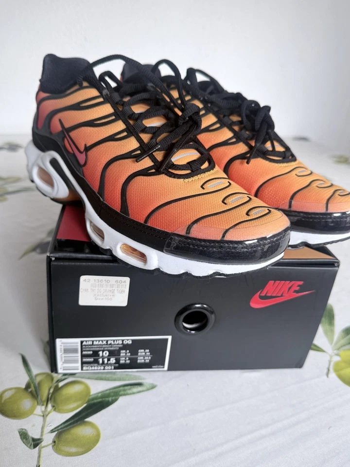 Nike Air Max Plus OG, photo 2 sur 5