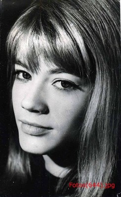 Francoise Hardy, Schlagersängerin - 7 Pressefotos - versch. Grössen (7695)