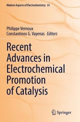 Recent Advances in Electrochemical Promotion of Catalysis - 9783031138959