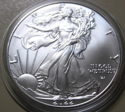Amerika- USA 1 Dollar 2022 Silver Eagle Type II 1 Oz Silber St-BU matt - Bild 1 von 4