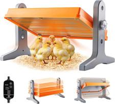 Chick Brooder Heater Plate   12" x 8" Adjustable Height  Temperature Poultry Wa