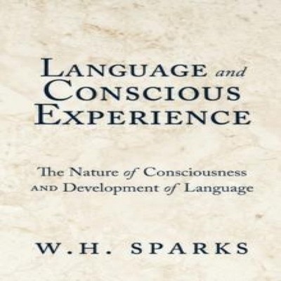 Language and Conscious Experience The Nature of Consciousness and