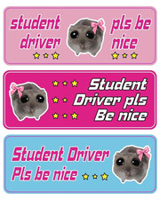 3 Stück Fahranfänger Auto-Aufkleber, Lustiger Hamster-Aufkleber, Selbstklebender