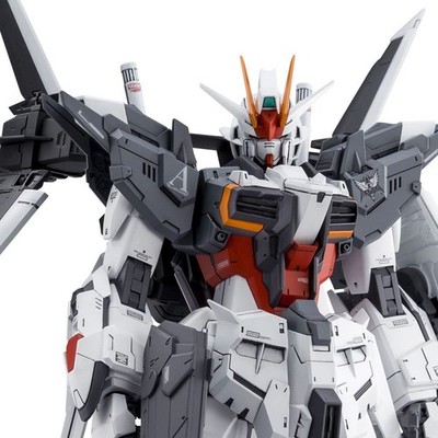 MG Gundam Ex Impulse 1/100 Scale Model Kit Gundma Build Divers Genius Head Line