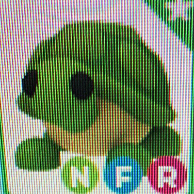 Adopt Me! NFR Turtle Virtual Pet In-Game Game Item/Asset