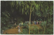 Kauai Hi Fern Grotto up Wailua River 1968 Vintage Postcard Hawaii
