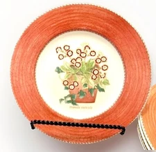 Wedgwood Sarahs Garden Plate Terracotta 8 1/4" Primula Auricula Vintage 1997