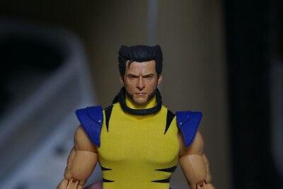 1/12 Marvel Legends,Mezco Wolverine custom painted head | eBay