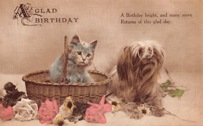 EINE SCHÖNE GEBURTSTAG POSTKARTE KATZE KÄTZCHEN IM KORB MIT HUND