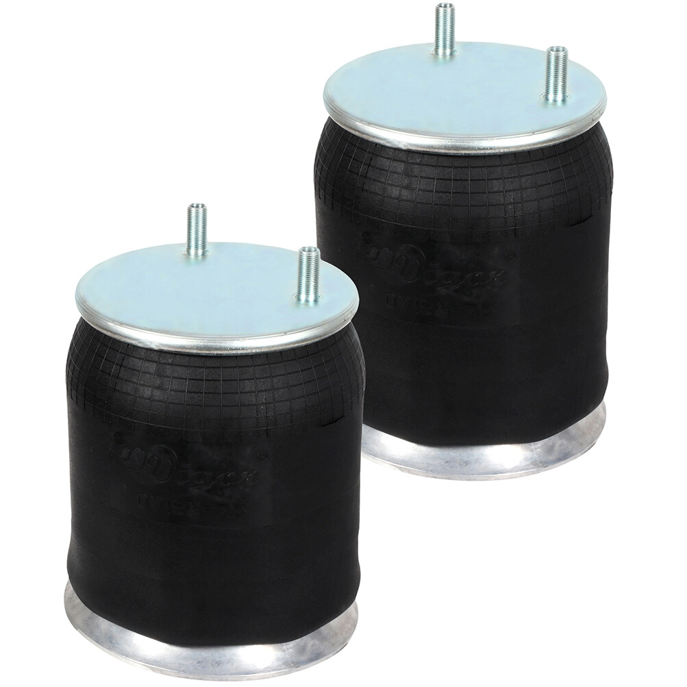 2Pcs Air Spring Bags W01-358-9974 Fit Watson Chalin Navistar 1R12-1048