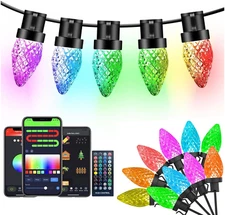Smart RGB C9 Strawberry Christmas Lights, APP & DIY Chasing Effect,33/66/99 Feet