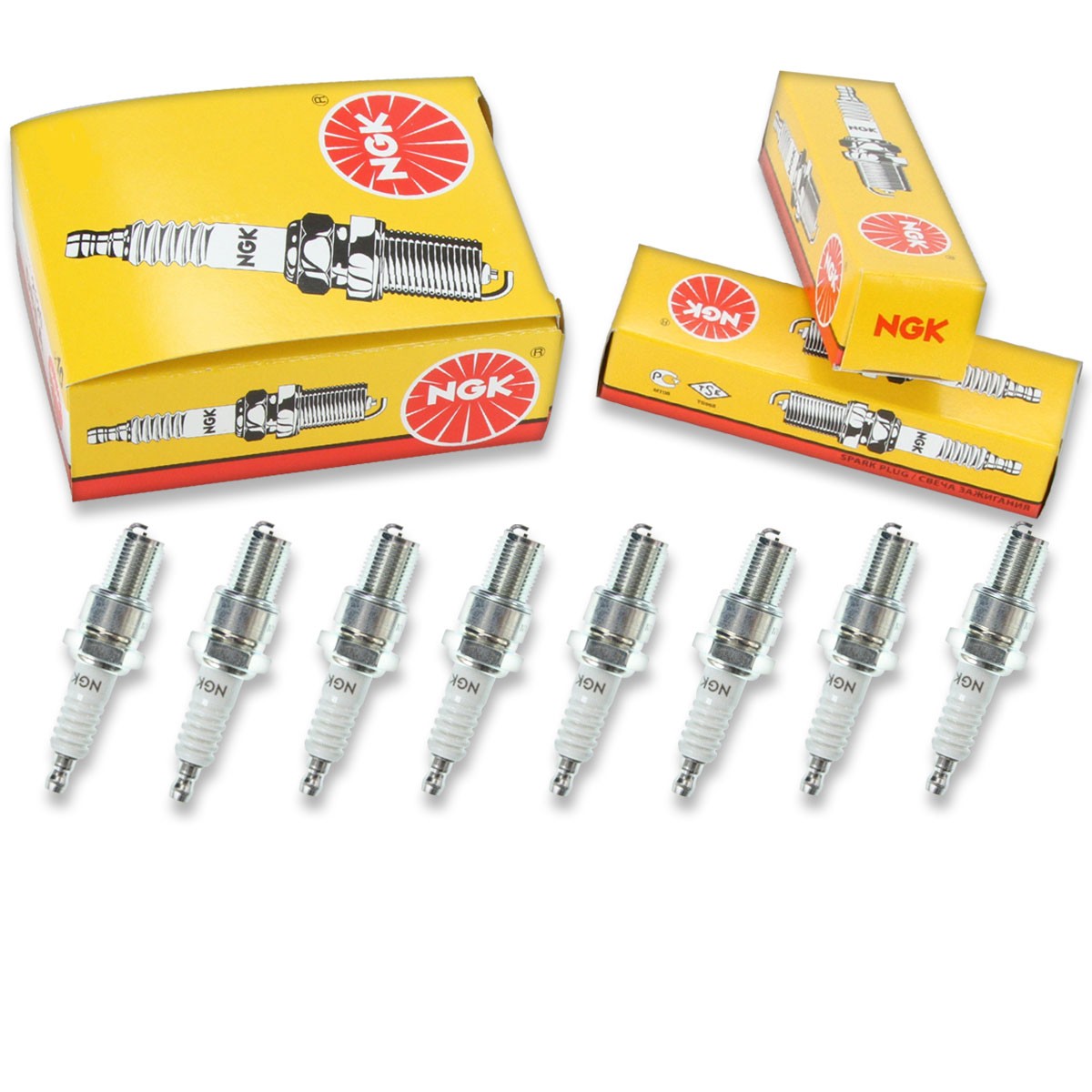 8pcs NGK 3630 Standard B10EG Motorcycle Spark Plug Tune Up Kit Set ef